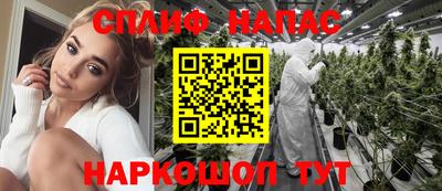 гидра Заводоуковск