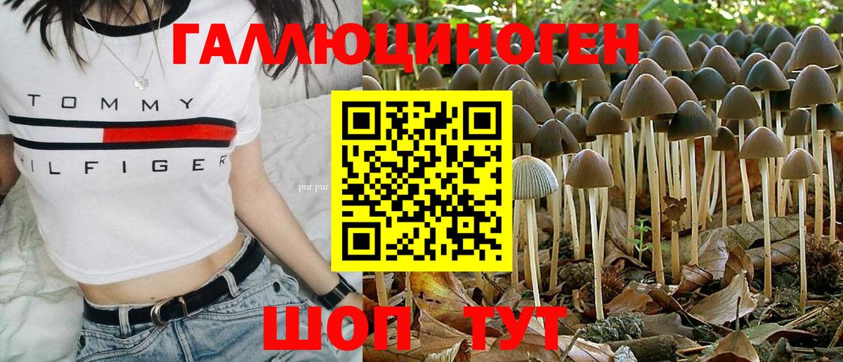 Псилоцибиновые грибы прущие грибы Лабинск