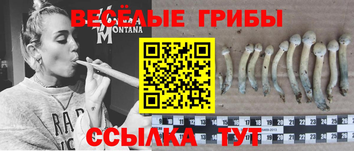 Псилоцибиновые грибы Лабинск